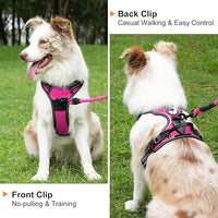 Taglory Light Up Dog Harness, Rechargeable No Pull Dog Vest with 3 Lightning Modes, Reflective Dog Harness with 2 Leash Clips & 4 Adjustable Slide Strips for Small Dogs, Hotpink-Hotpink, S