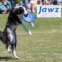 Hyperflite K-10 Jawz Puncture Resistant Dog Flying Disc - Blue - image 2