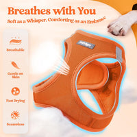 rabbitgoo Dog Harness Small Sized and Leash Set - Orange / L (chest: 18.2 - 20.5") - image 4