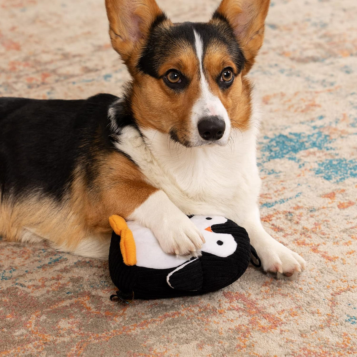 TrustyPup Strong 'N Silent Platypus Silent Squeak Plush Dog Toy - Medium / Penguin - image 2
