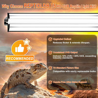 8W T5 10.0 UVB Reptile Light Fixture 12" - Fixture Black / 8W 12 Inch - image 2