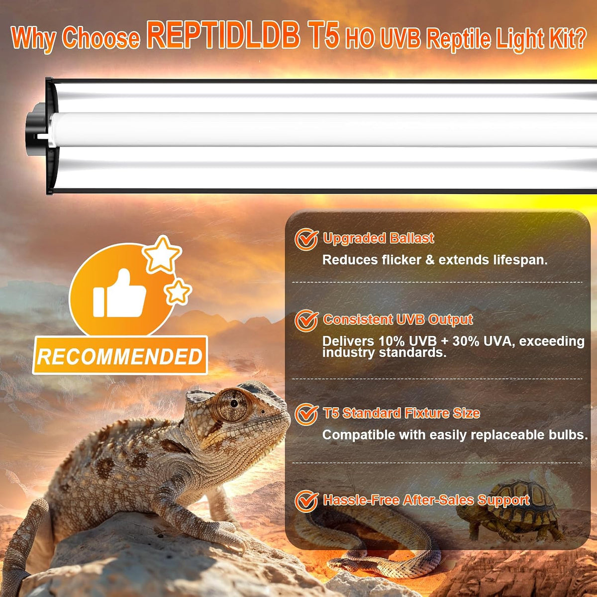 8W T5 10.0 UVB Reptile Light Fixture 12" - Fixture Black / 8W 12 Inch - image 2