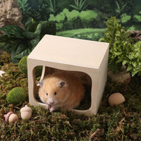 Wooden Hamster Hideout House, Small‑Pet Habitat Tunnel - Study Room - image 4
