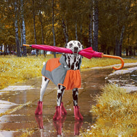 Hooded Dog Raincoat, Reflective Large Dog Rain Poncho - Medium / Orange - image 4