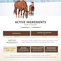 Equithrive Original Joint Supplement Powder with Resveratrol and Hyaluronic Acid for Horses, Equine Care, Molasses Flavor, 8 lbs