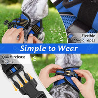 rabbitgoo Cat Harness and Leash Set, Step-in Soft Vest - M / Blue - image 2