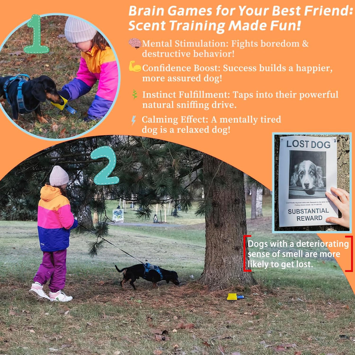 Dog Scent Training kit, Brain Games, Hide and Seek Toys - Yellow - image 3