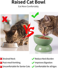 Cat Water Bowl, 15° Tilted and Raised Pet Food Dish - 2 Pack / Sage Green - image 3