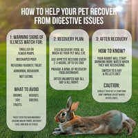 Sherwood Pet Health Rabbit Emergency kit and Bulk Recovery Food (200 Grams)