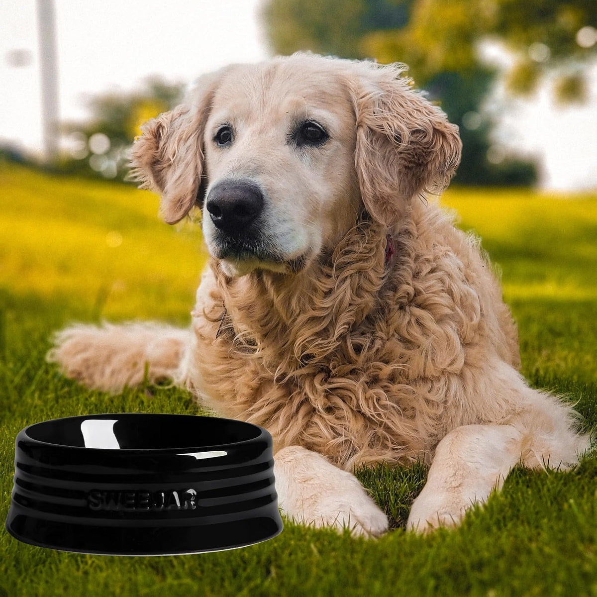 Sweejar Gradient Dog Bowl - Medium (18oz) / Black - image 4