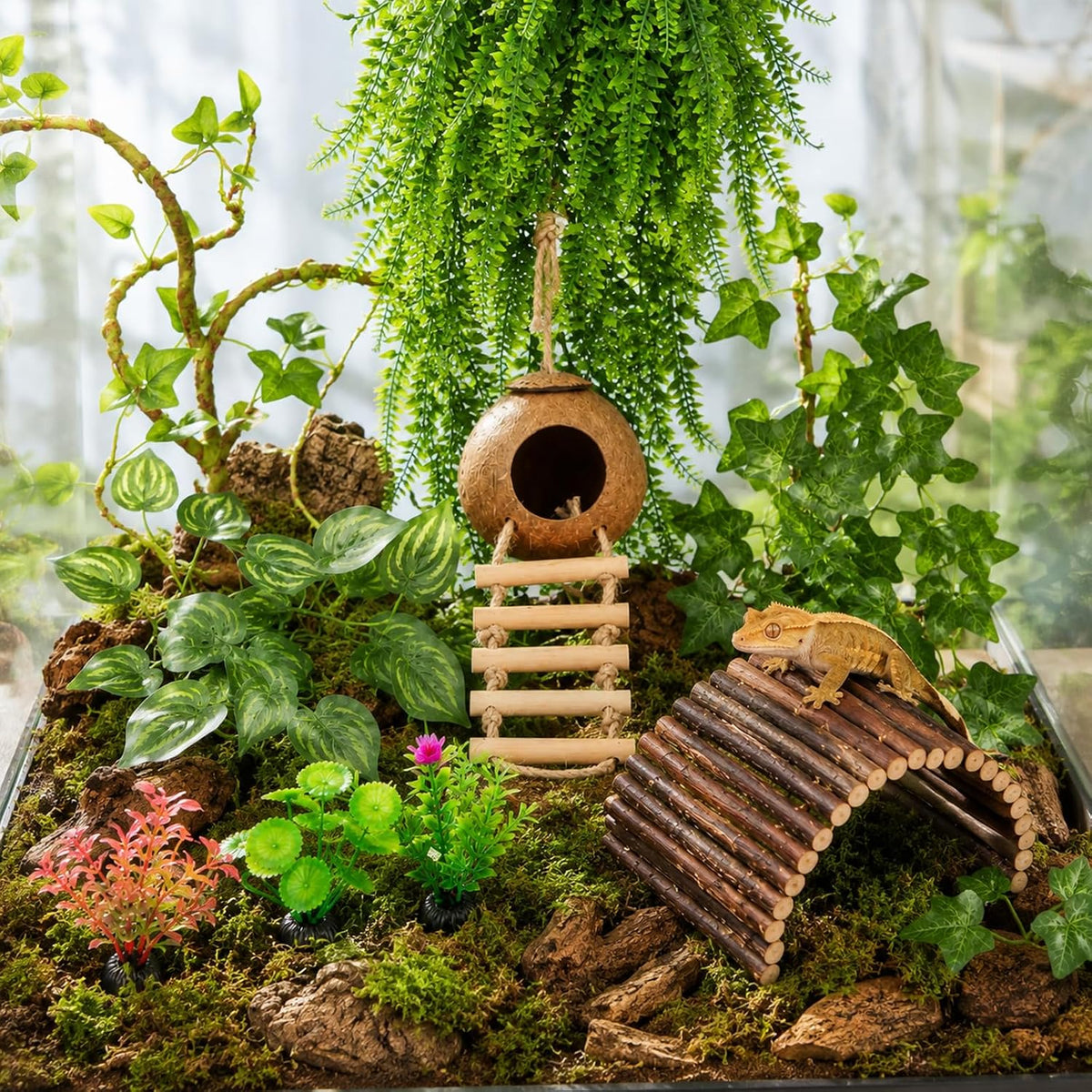 RUNANIA Crested Gecko Tank Accessories，Reptile Vines Plants - Medium - image 2