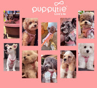 Puppytie Small Dog Harness and Leash Set, Pink, S – Essentials for Dogs - A-Pink / S(9-17.5lb） - image 3