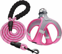 haapaw Dog Harness with Leash Set - M / Grey / Pink