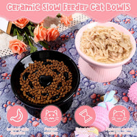 Tioncy 2 Pcs Ceramic Elevated Slow Feeder Cat Bowl - Black, Pink / 2 - image 4