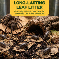 SunGrow 50 Pack Leaf Litter for Spider, Cricket & Isopod - Mini - 100Pcs - image 3