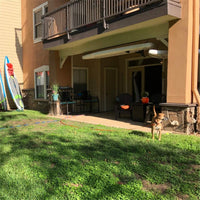 Dog/Puppy Obedience Recall Training Agility Lead, Great for Play - Pink / 50 Feet - image 2