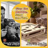 Cat Scratch Puzzle Enrichment Box - image 2