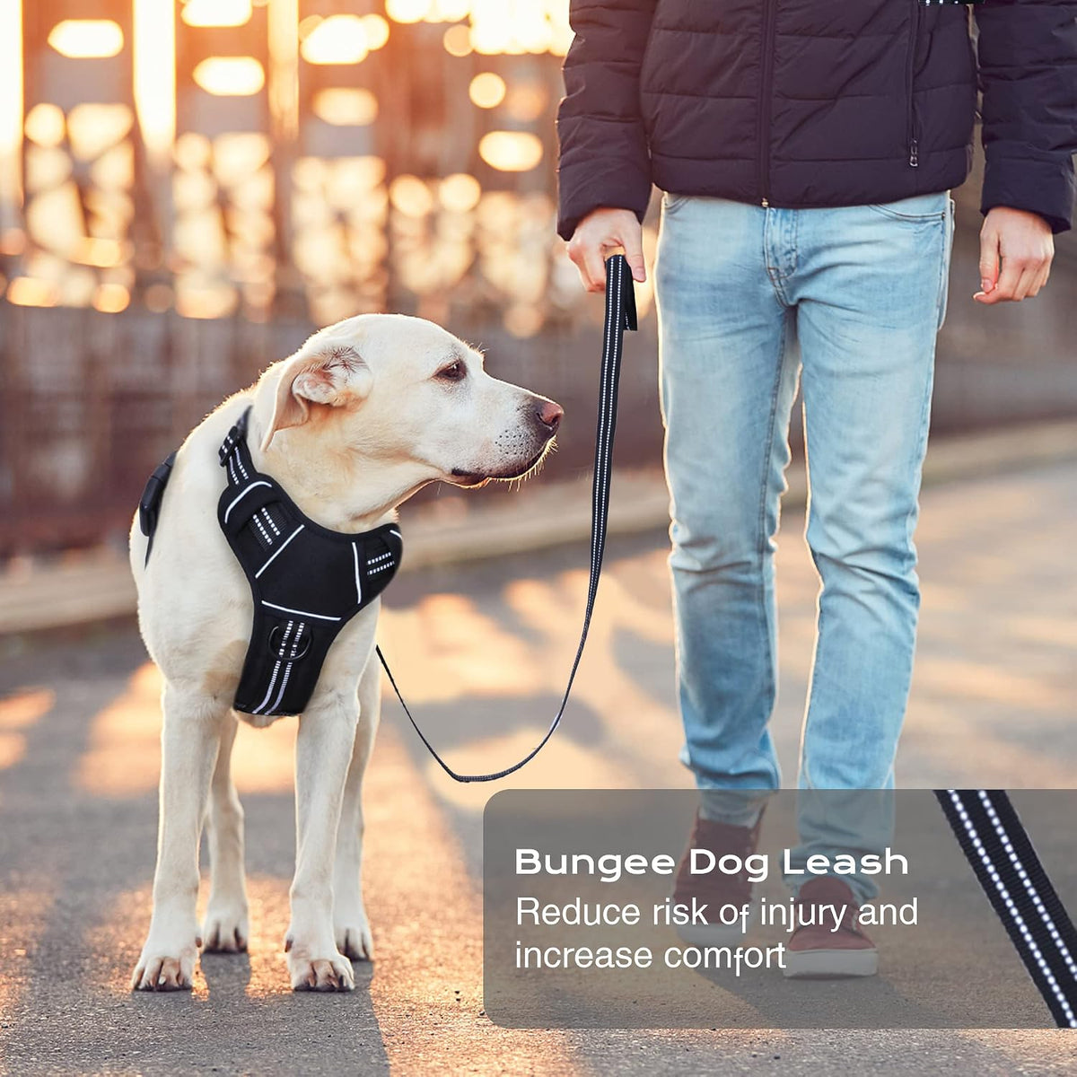 No Pull Dog Harness for Medium Dogs - Black / L - image 2