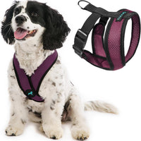 Gooby Comfort X Head-in Dog Harness, Choke-Free - X-Large Chest (20.5-28") / Purple