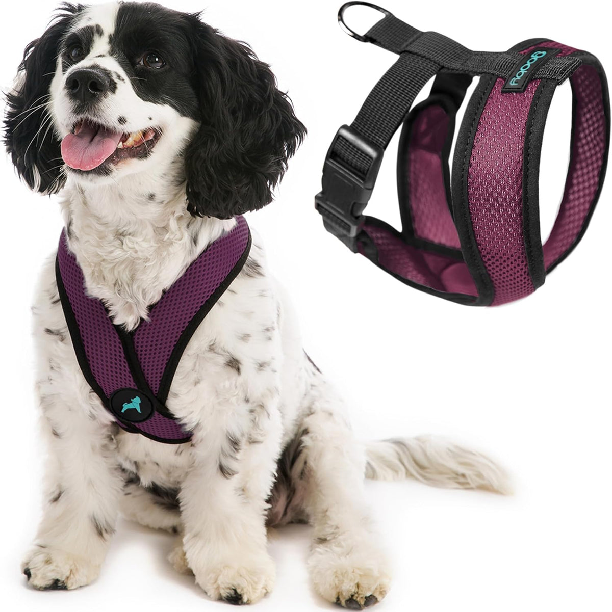 Gooby Comfort X Head-in Dog Harness, Choke-Free - X-Large Chest (20.5-28") / Purple