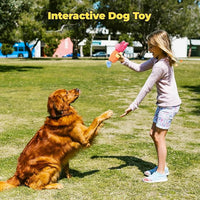 3pcs Dog Squeaky Toys, Plush Stuffed Puppy Chew Toy for Extended Play, Interactive Toys Great Gifts for Small Medium Large Chewer Dogs, Pet Toy Bulk to Keep Them Busy(Forg&Hippo&Pig)