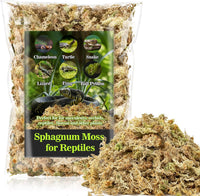 Sukh Sphagnum Moss for Reptiles, Green Terrarium Moss Substrate - 3.5 Ounces / Yellow Green
