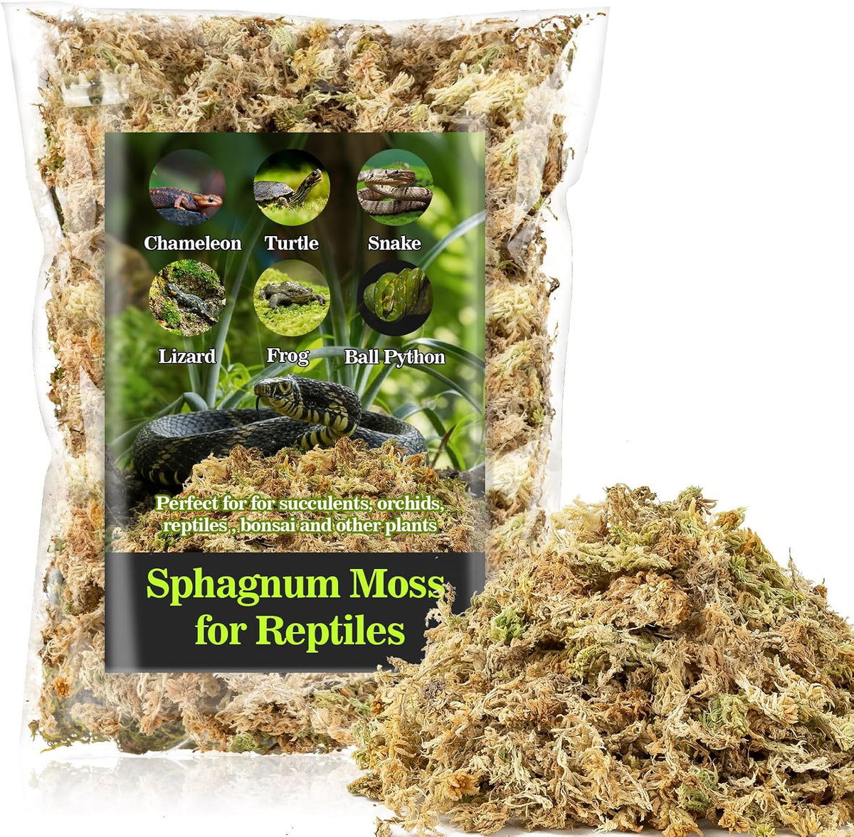Sukh Sphagnum Moss for Reptiles, Green Terrarium Moss Substrate - 3.5 Ounces / Yellow Green