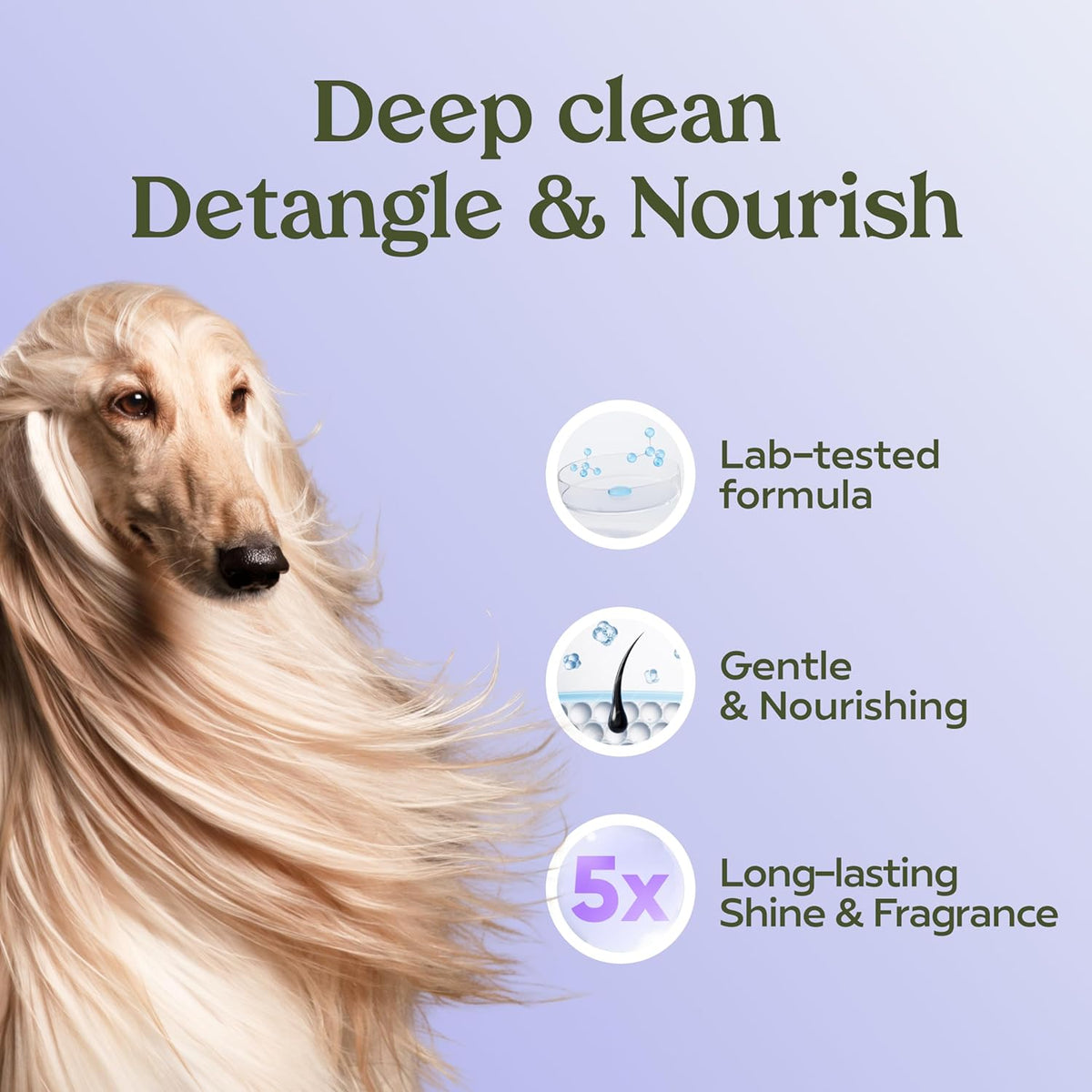 PAWFUME Deshedding Dog Shampoo and Conditioner, Show Dog - Shampoo & Conditioner Royal Lavander / Pack of 4 - image 2