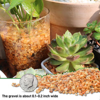 3lb Cactus Pea Gravel Rocks - 45LB / Mixed Colorful - image 4