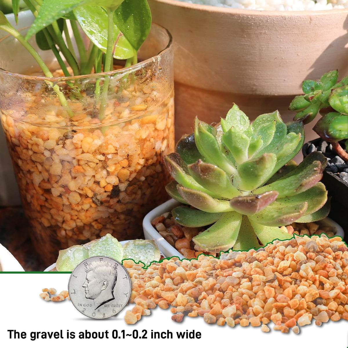 3lb Cactus Pea Gravel Rocks - 45LB / Mixed Colorful - image 4