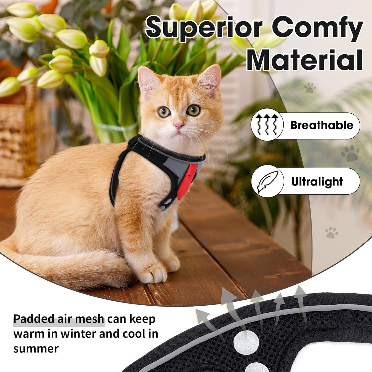 Cat Harness and Leash Set for Walking Escape Proof Vest for Kitten – Essentials for Cats - Black / Small - image 3