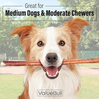 ValueBull Bully Sticks for Dogs, Medium 12 Inch, 200 Count Bulk Pack - All Natural, Grass Fed, Single Ingredient, Long Lasting Dog Treats
