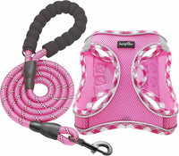 haapaw Dog Harness with Leash Set - L / Pink