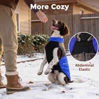 Winter Dog Coats for Small Dogs, Puppy Jacket with Harness - Blue(Standard) / Large - image 3