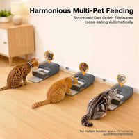 RFID Automatic Cat Feeder, Collar Sensor for Personalized Meals – Essentials for Cats - Black - image 4