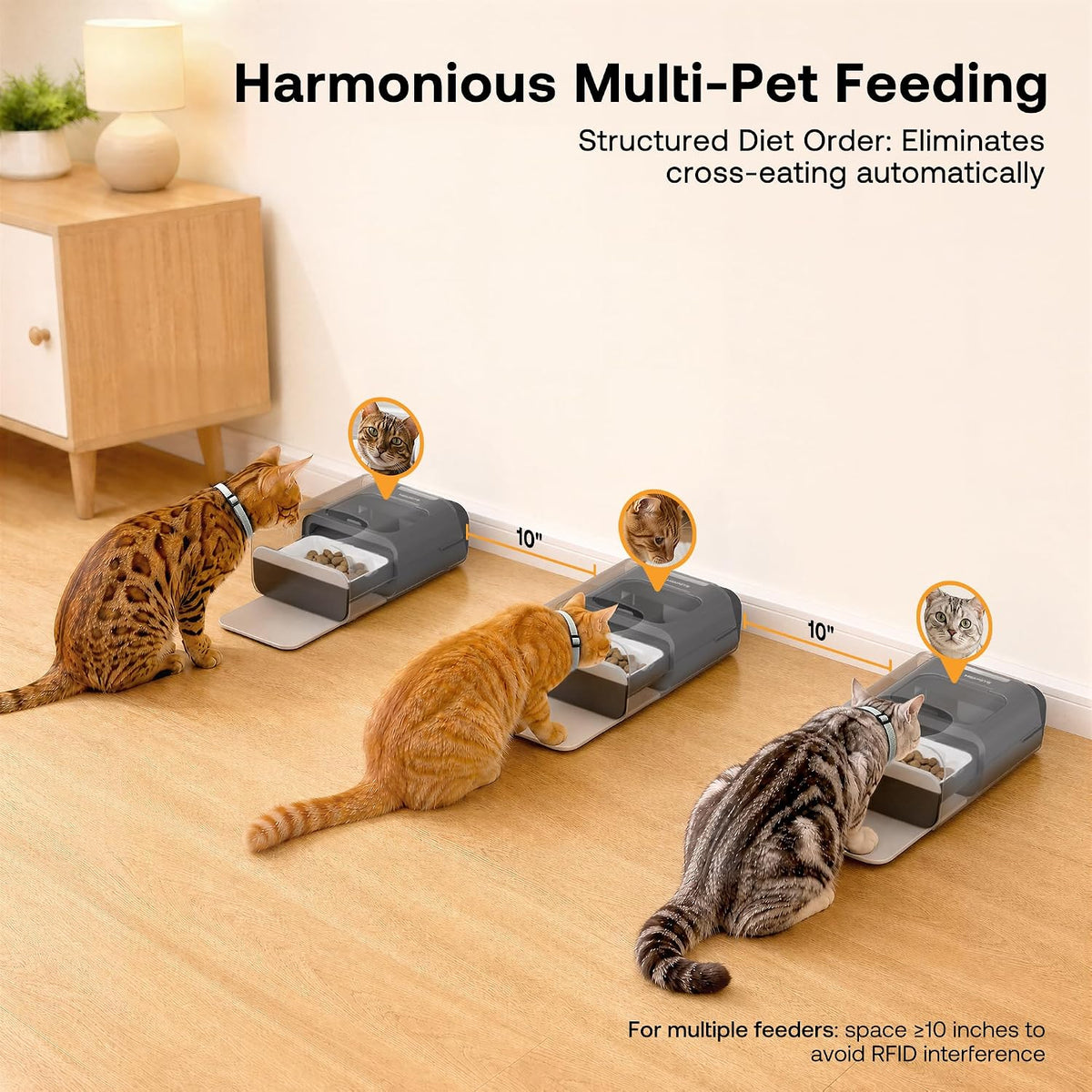 RFID Automatic Cat Feeder, Collar Sensor for Personalized Meals – Essentials for Cats - Black - image 4