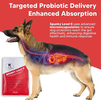 Spunky Level II Hip and Joint Supplement for Dogs, Glucosamine for Dogs with MSM, Dog Vitamins and Supplements Helps Digestion, Dog Joint Supplement - 1LB