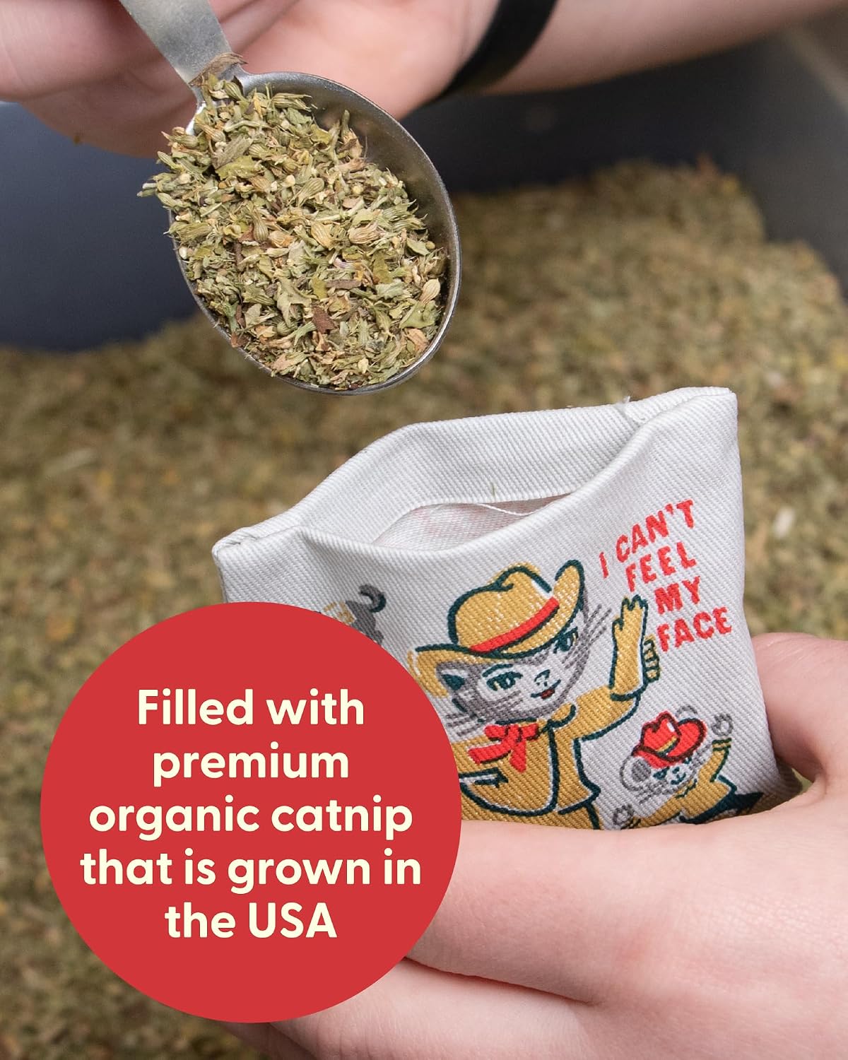 Blue Q Catnip - Cute Cat Toys for Biting with Funny Graphics -I Love My Cat – Essentials for Cats - Boss Kitty - image 3