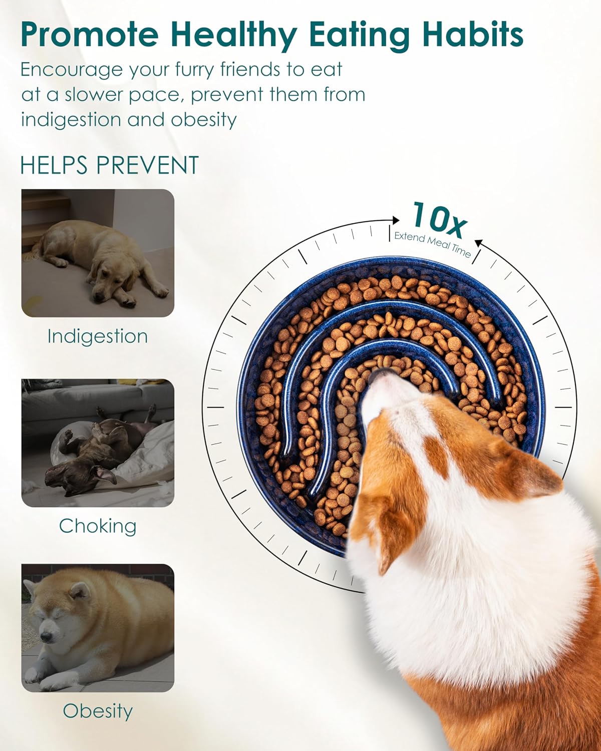 vancasso Slow Feeder Dog Bowl - Blue / 1.5 Cups - image 4