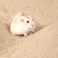 BUCATSTATE Hamster Bath Sand with Pour Spout - 3.3LB / Fine Sand - image 4
