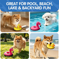 Floating Duck Dog Toy, Squeaky Water Pool Toy for Small Medium Dogs – Essentials for Dogs - Duck - image 3
