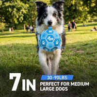 QDAN Dog Balls, Outdoor Dog Toys - Large Size 3 / White-Blue - image 3