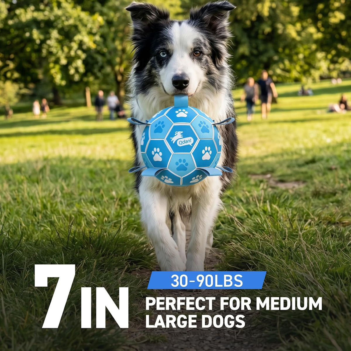 QDAN Dog Balls, Outdoor Dog Toys - Large Size 3 / White-Blue - image 3