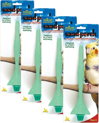 JW Pet Insight Sand Perch, Assorted Colors - REGULAR (Pack of 4)