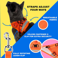 Travel Cat Harness and Leash Set - Small / Orange - image 2