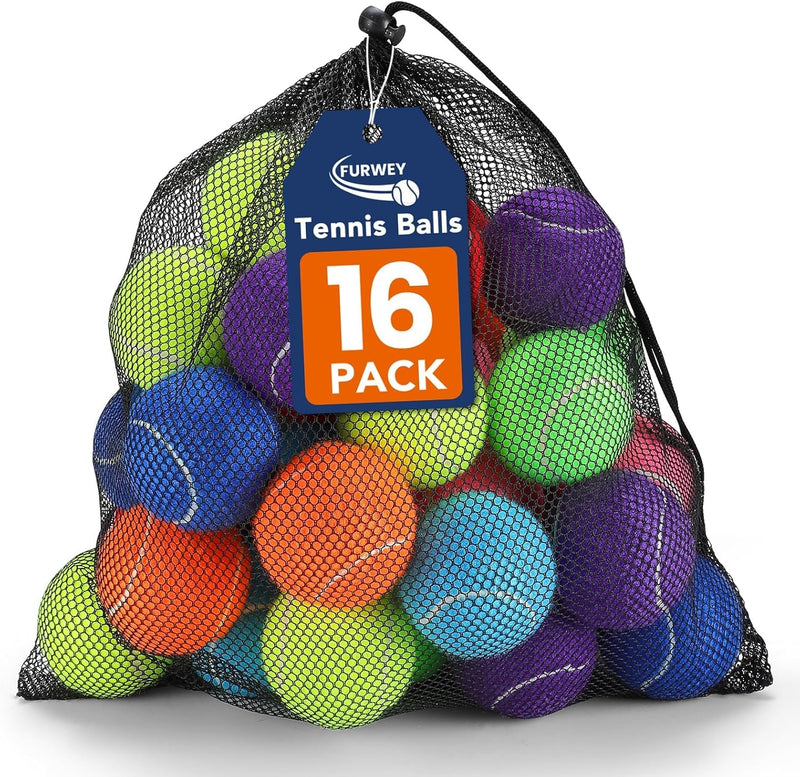 Colorful Tennis Balls for Dogs, Non Squeaky - Medium-2.5in / 16P