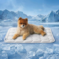 Bedsure ArcticMax Cooling Mat for Large Dogs - Pearl Grey / 24"L x 18"W