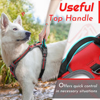 Eagloo Dog Harness for Large Dogs - Large / Red - image 4