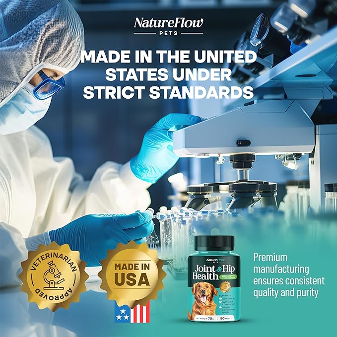 Joint Supplement for Dogs, Power of Nature Made in USA, Up to 100 Days, Unique Formula: Green-Lipped Mussel, Glucosamine, Chrondroitin, MSM, Devils Claw, Hip and Joint Supplement, All Breeds - 50 ct