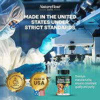 Joint Supplement for Dogs, Power of Nature Made in USA, Unique Formula: Green-Lipped Mussel, Glucosamine, Chrondroitin, MSM, Devils Claw, Hip and Joint Supplement, All Breeds - 200 ct